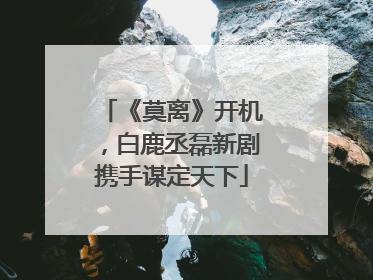 《莫离》开机，白鹿丞磊新剧携手谋定天下