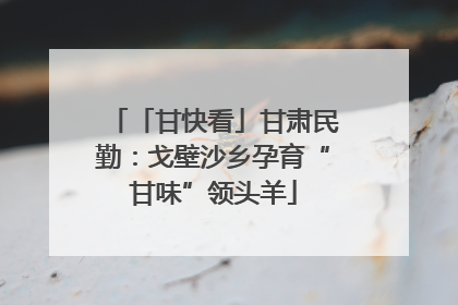 「甘快看」甘肃民勤：戈壁沙乡孕育“甘味”领头羊