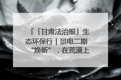 「甘肃法治报」生态环保行｜景电二期“焕新”，在荒漠上筑起一道绿色长城