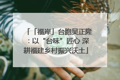 「福岸」台胞吴正隆：以“台味”匠心 深耕福建乡村振兴沃土