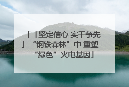 「坚定信心 实干争先」“钢铁森林”中 重塑“绿色”火电基因