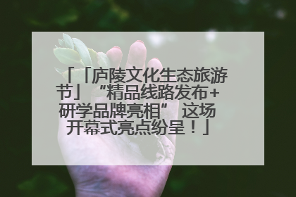 「庐陵文化生态旅游节」“精品线路发布+研学品牌亮相” 这场开幕式亮点纷呈！