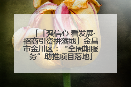 「强信心 看发展·招商引资拼落地」金昌市金川区：“全周期服务”助推项目落地