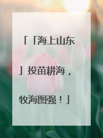 「海上山东」投苗耕海，牧海图强！