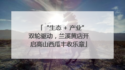 “生态 + 产业”双轮驱动，兰溪黄店开启高山西瓜丰收乐章