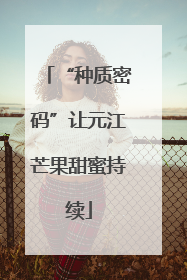 “种质密码”让元江芒果甜蜜持续