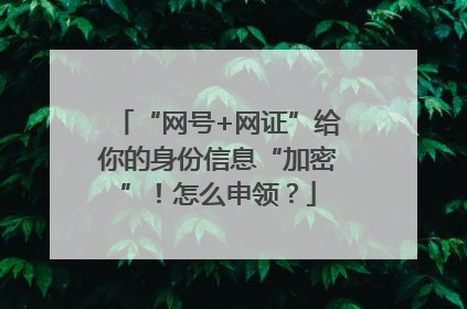 “网号+网证”给你的身份信息“加密”！怎么申领？