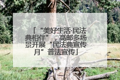 “美好生活·民法典相伴”，高邮多场景开展“民法典宣传月”普法宣传