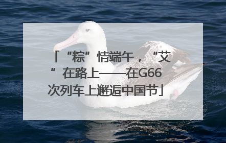 “粽”情端午，“艾”在路上——在G66次列车上邂逅中国节