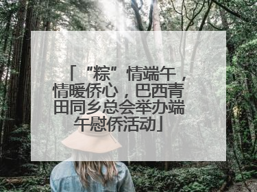 “粽”情端午，情暖侨心，巴西青田同乡总会举办端午慰侨活动