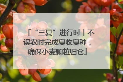 “三夏”进行时丨不误农时完成夏收夏种，确保小麦颗粒归仓