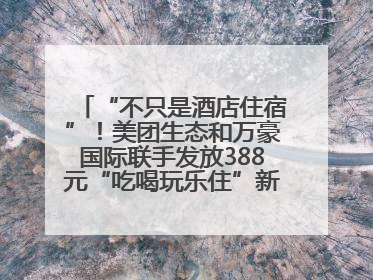 “不只是酒店住宿”！美团生态和万豪国际联手发放388元“吃喝玩乐住”新会员礼包