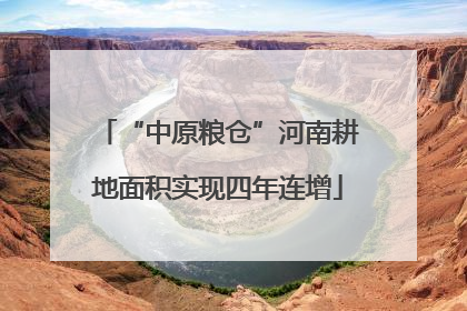 “中原粮仓”河南耕地面积实现四年连增
