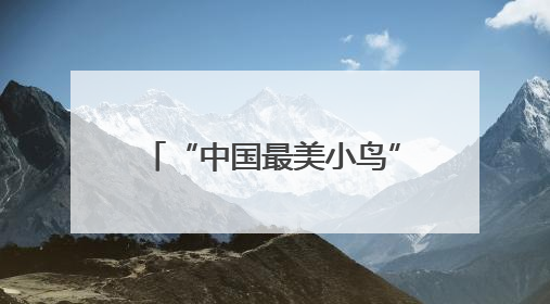 “中国最美小鸟”蓝喉蜂虎现身闽北