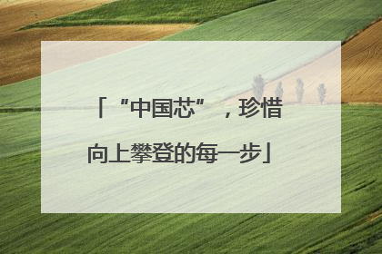 “中国芯”，珍惜向上攀登的每一步
