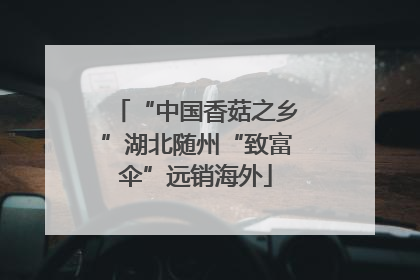 “中国香菇之乡”湖北随州“致富伞”远销海外
