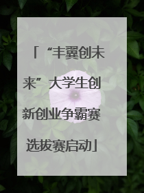 “丰翼创未来”大学生创新创业争霸赛选拔赛启动