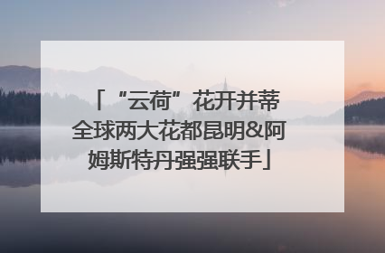 “云荷”花开并蒂 全球两大花都昆明&阿姆斯特丹强强联手