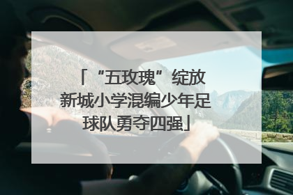 “五玫瑰”绽放 新城小学混编少年足球队勇夺四强