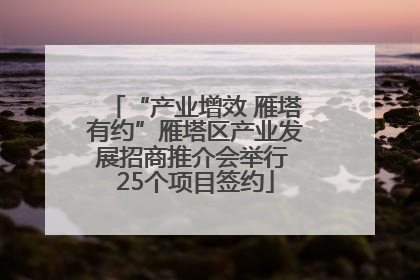 “产业增效 雁塔有约”雁塔区产业发展招商推介会举行 25个项目签约
