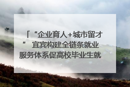 “企业育人+城市留才” 宜宾构建全链条就业服务体系促高校毕业生就业｜您牵挂的四川