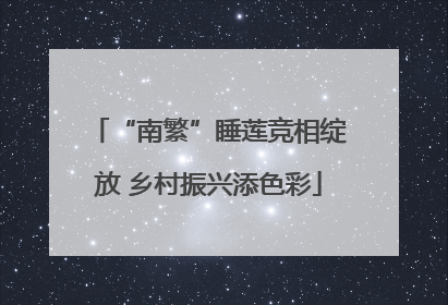 “南繁”睡莲竞相绽放 乡村振兴添色彩