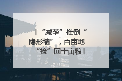 “减垄”推倒“隐形墙”，百亩地“捡”回十亩粮