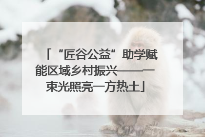 “匠谷公益”助学赋能区域乡村振兴——一束光照亮一方热土
