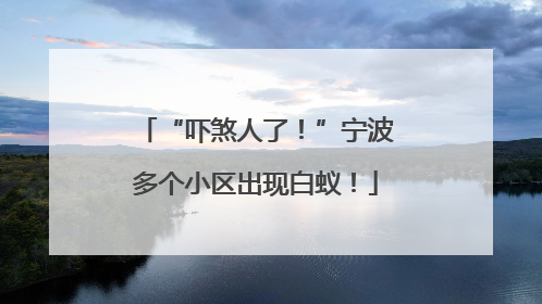 “吓煞人了！”宁波多个小区出现白蚁！