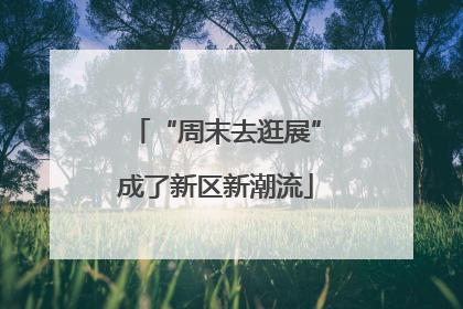 “周末去逛展”成了新区新潮流