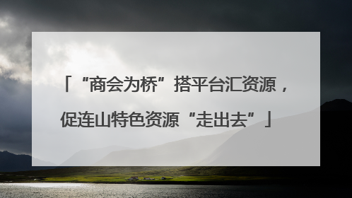 “商会为桥”搭平台汇资源，促连山特色资源“走出去”
