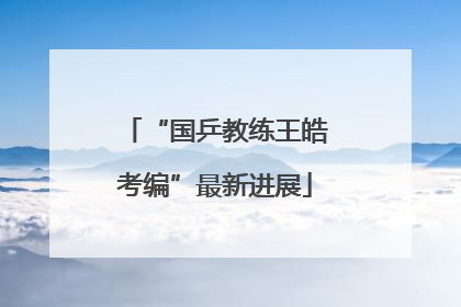 “国乒教练王皓考编”最新进展