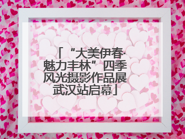 “大美伊春·魅力丰林”四季风光摄影作品展武汉站启幕