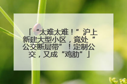 “太难太难！”沪上新建大型小区，竟处“公交断层带”！定制公交，又成“鸡肋”