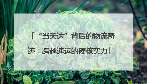 “当天达”背后的物流奇迹：跨越速运的硬核实力
