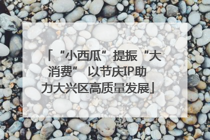 “小西瓜”提振“大消费” 以节庆IP助力大兴区高质量发展