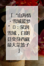 “山海情・雪域援梦”⑪：泉润雪域，白朗县变身西藏最大菜篮子