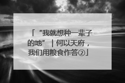 “我就想种一辈子的地”｜何以天府，我们用粮食作答②