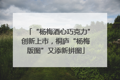 “杨梅酒心巧克力”创新上市，桐庐“杨梅版图”又添新拼图