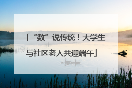 “数”说传统！大学生与社区老人共迎端午