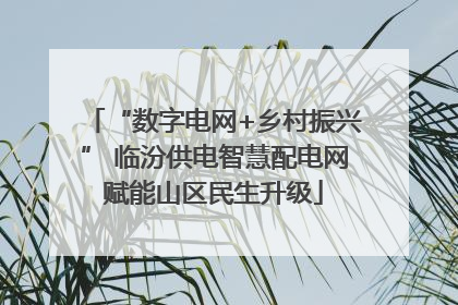 “数字电网+乡村振兴” 临汾供电智慧配电网赋能山区民生升级