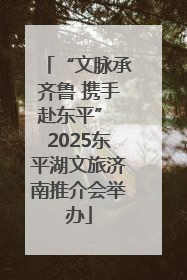 “文脉承齐鲁 携手赴东平” 2025东平湖文旅济南推介会举办