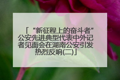 “新征程上的奋斗者”公安先进典型代表中外记者见面会在湖南公安引发热烈反响(二)