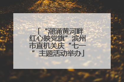 “潮涌黄河畔 红心映党旗”滨州市直机关庆“七一”主题活动举办