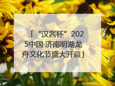 “汉酱杯”2025中国·济南明湖龙舟文化节盛大开幕