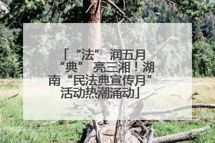 “法” 润五月 “典” 亮三湘！湖南“民法典宣传月”活动热潮涌动
