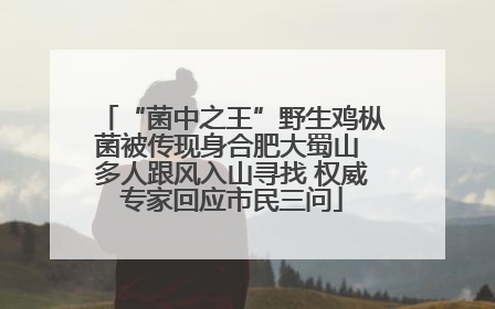 “菌中之王”野生鸡枞菌被传现身合肥大蜀山 多人跟风入山寻找 权威专家回应市民三问