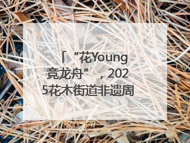 “花Young竞龙舟”，2025花木街道非遗周系列活动举行