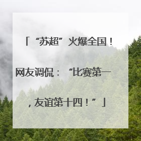 “苏超”火爆全国！网友调侃：“比赛第一，友谊第十四！”