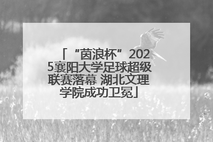 “茵浪杯”2025襄阳大学足球超级联赛落幕 湖北文理学院成功卫冕